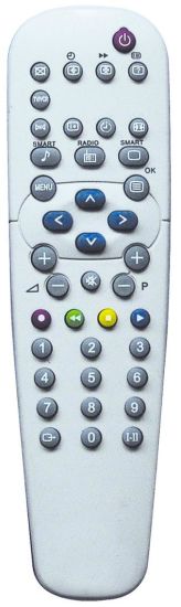 TV Remote Control with ABS Case (RC19039001)