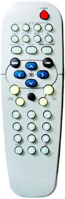 ABS Case TV Remote Control (RC19335010-00)